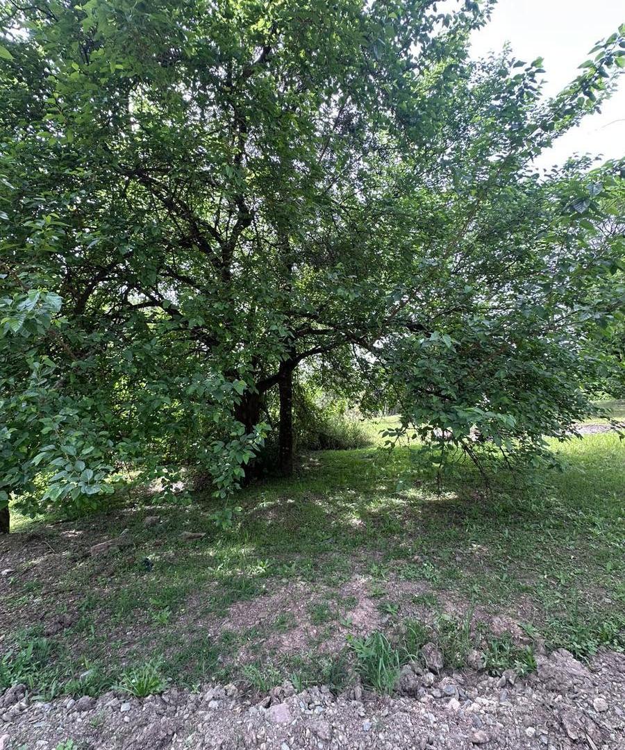 Foto de Terreno en La Arboleda Country, imagen 3