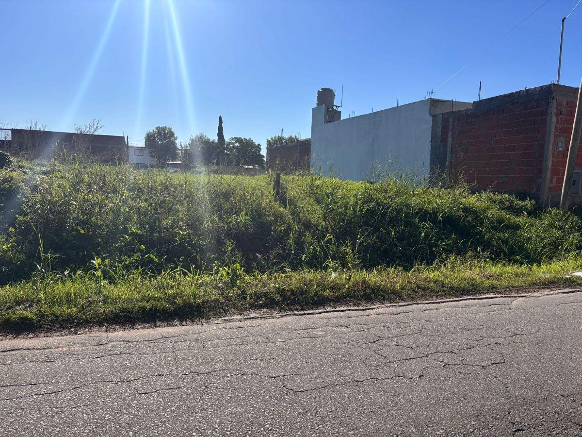 Foto de VENTA DE LOTES, imagen 1