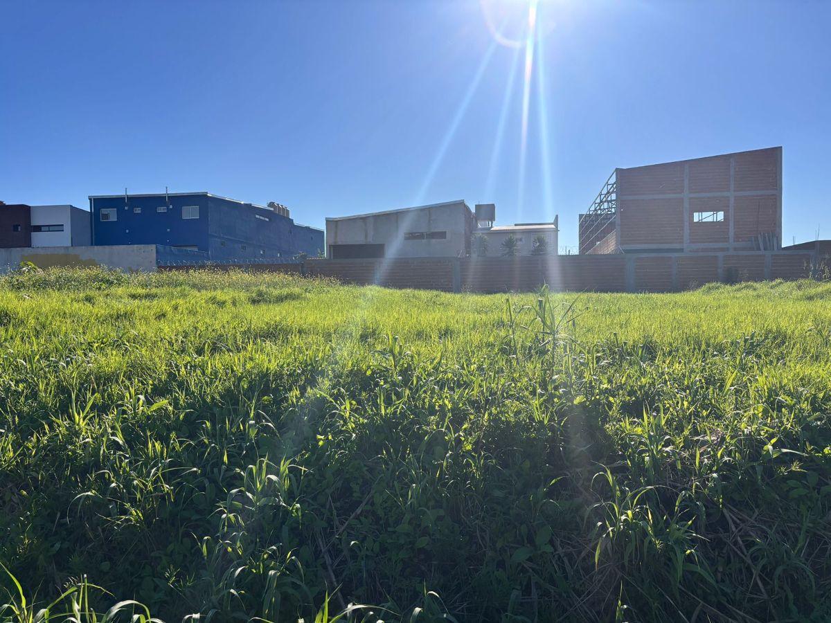 Foto de VENTA DE LOTES, imagen 3