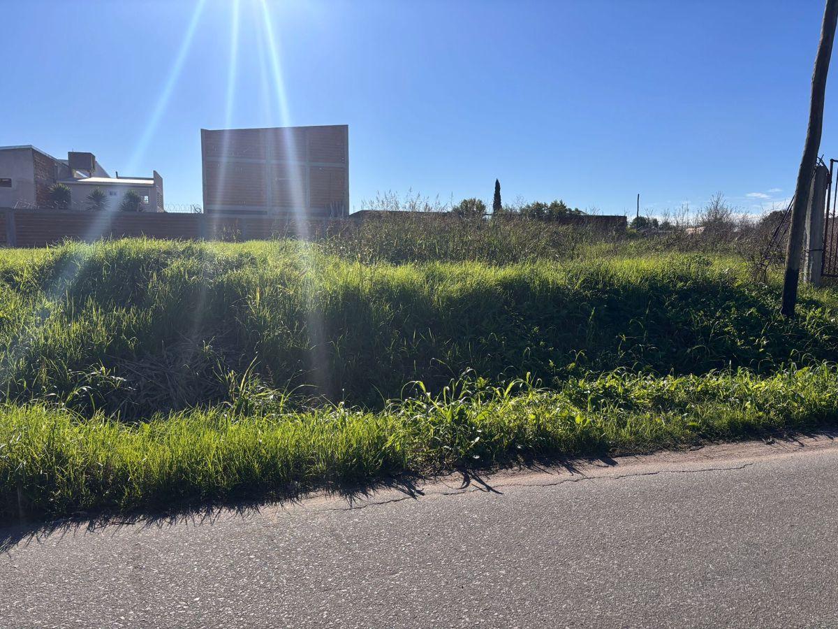 Foto de VENTA DE LOTES, imagen 4