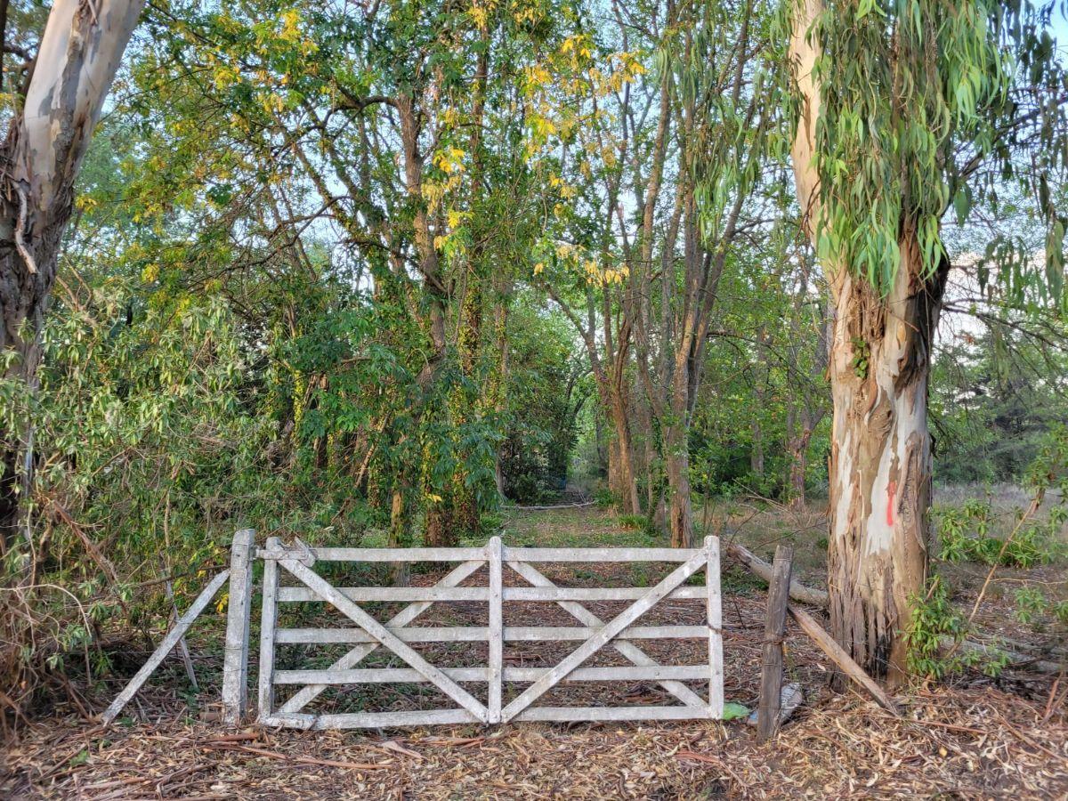 Foto de Hectárea en venta en Arana, imagen 1