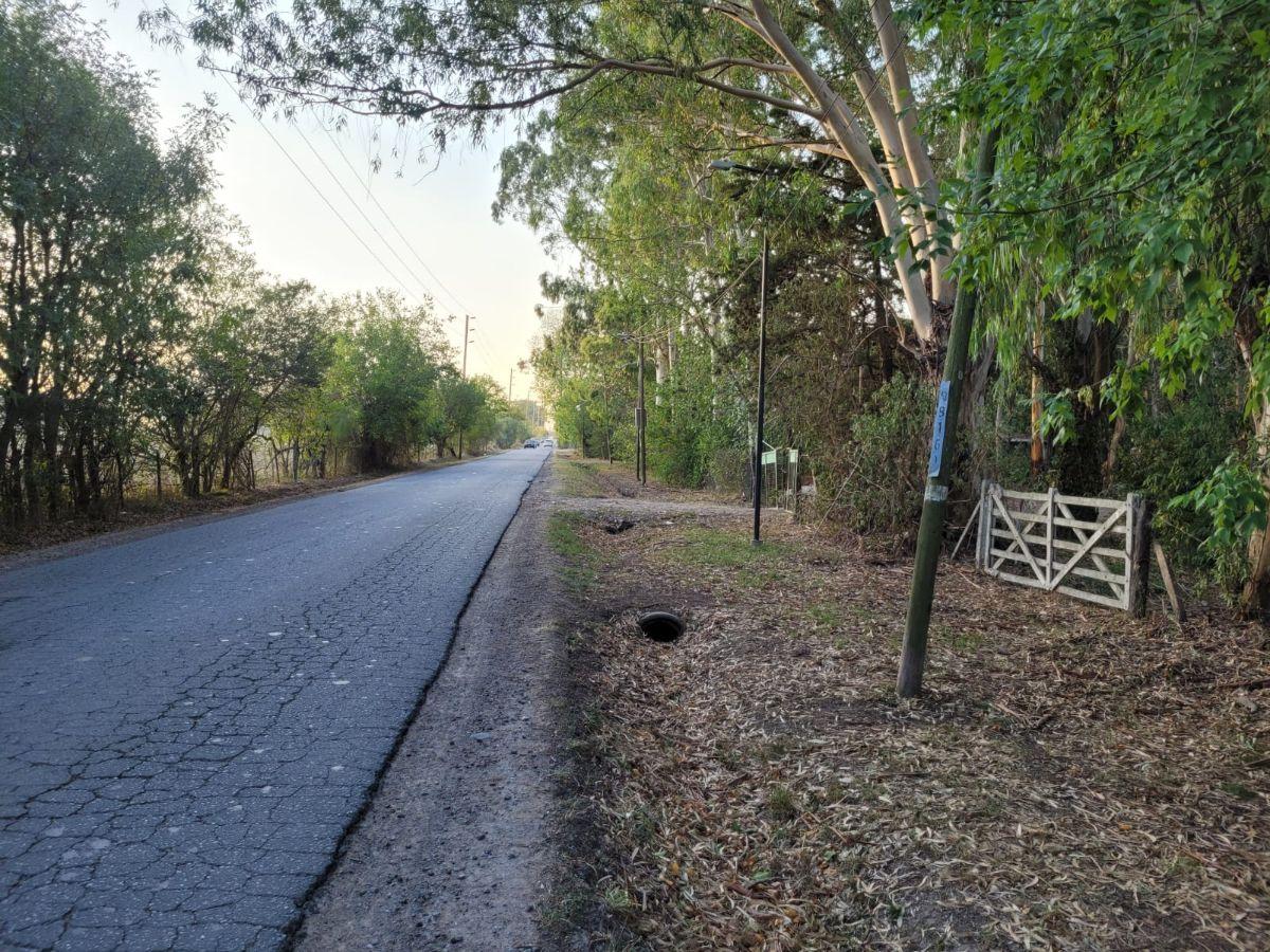 Foto de Hectárea en venta en Arana, imagen 4