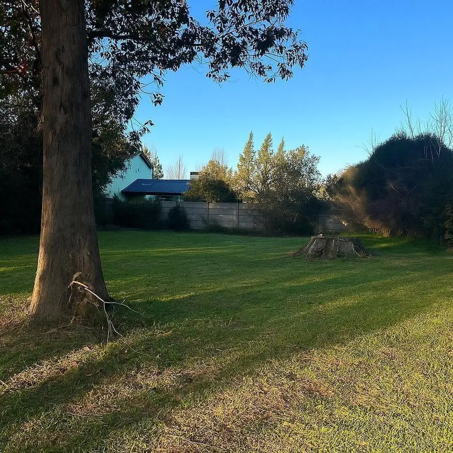 Terreno escriturado en venta en calle 438 entre 138 y 139 4