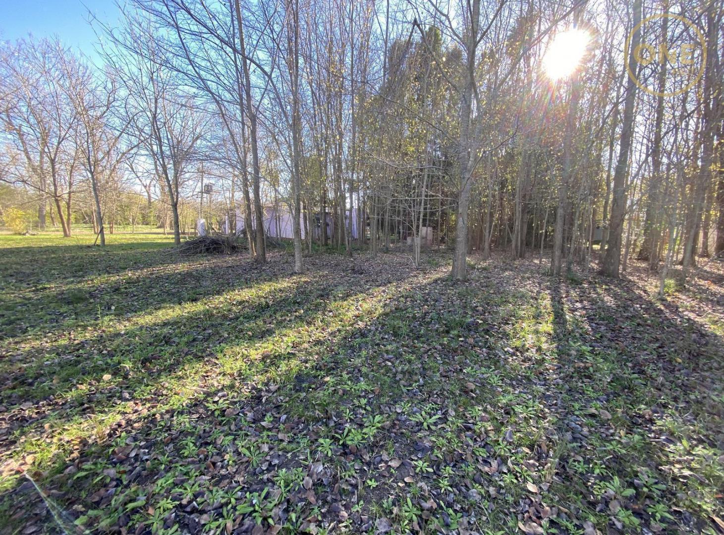 Foto de Terreno en venta sobre esquina en Chascomús, imagen 4