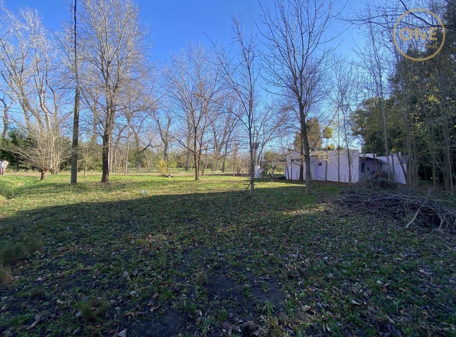 Foto de Terreno en venta sobre esquina en Chascomús, imagen 5