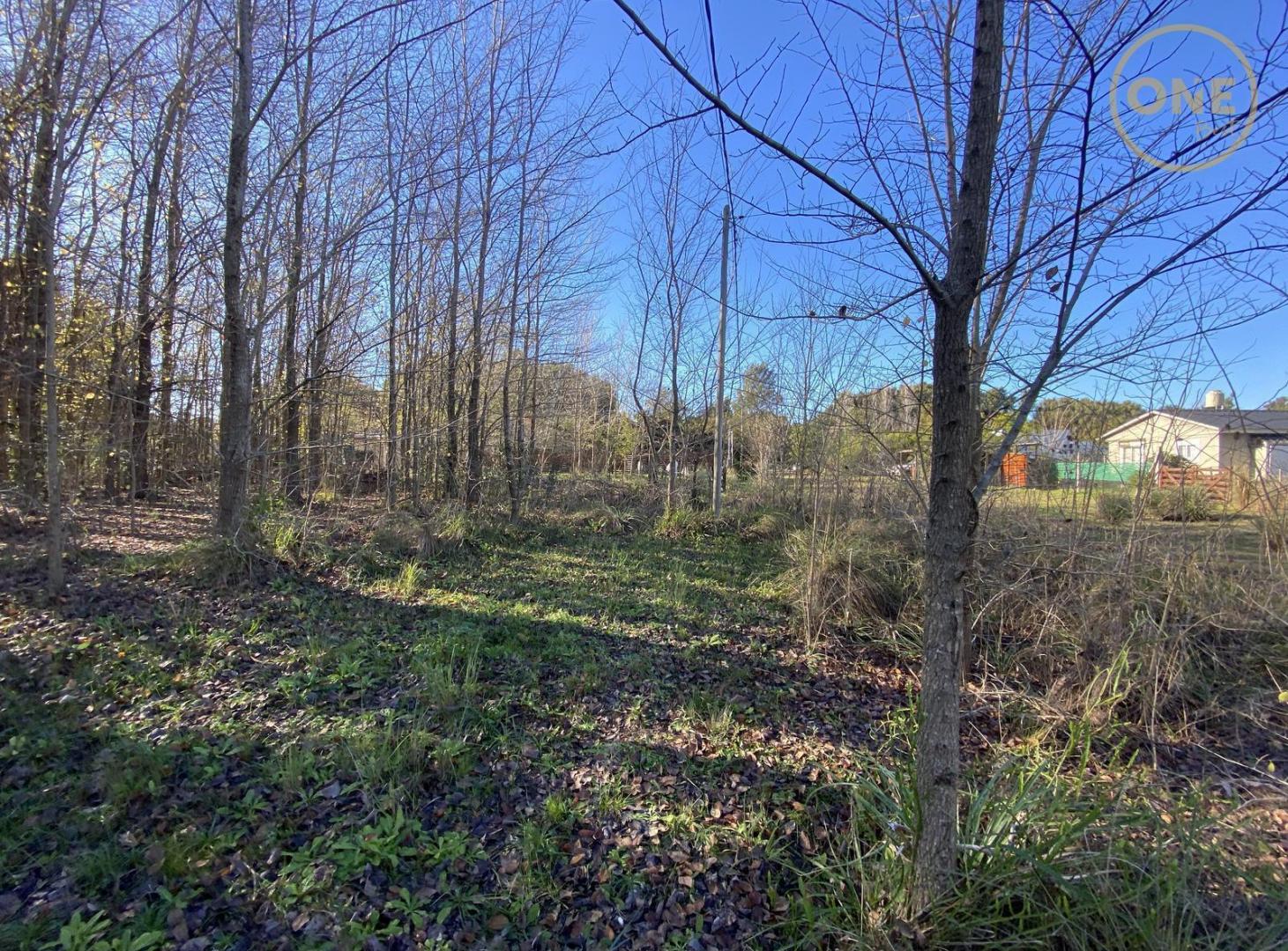 Foto de Terreno en venta sobre esquina en Chascomús, imagen 3