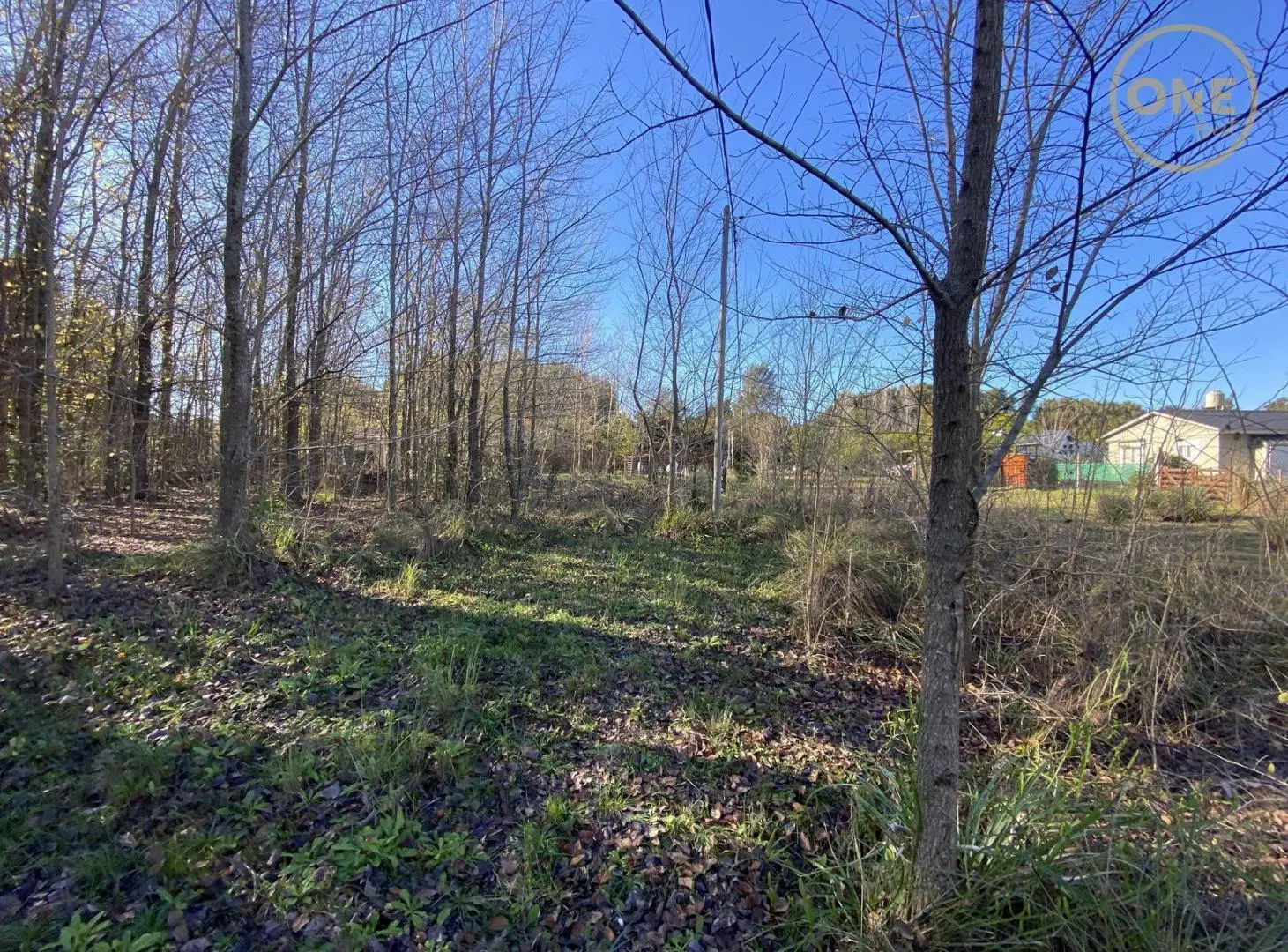 Terreno en venta sobre esquina en Chascomús 3