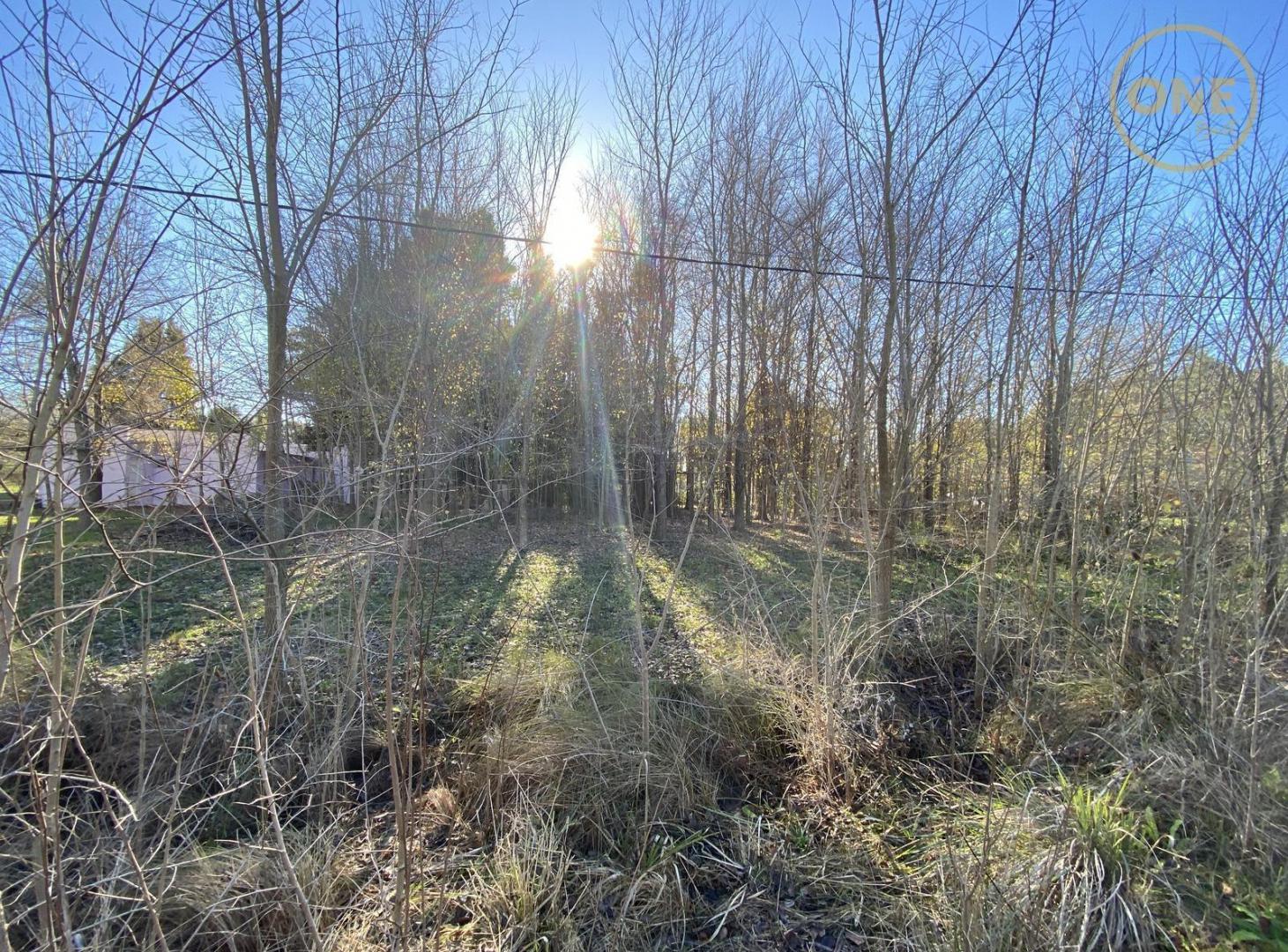 Foto de Terreno en Chascomús, imagen 4