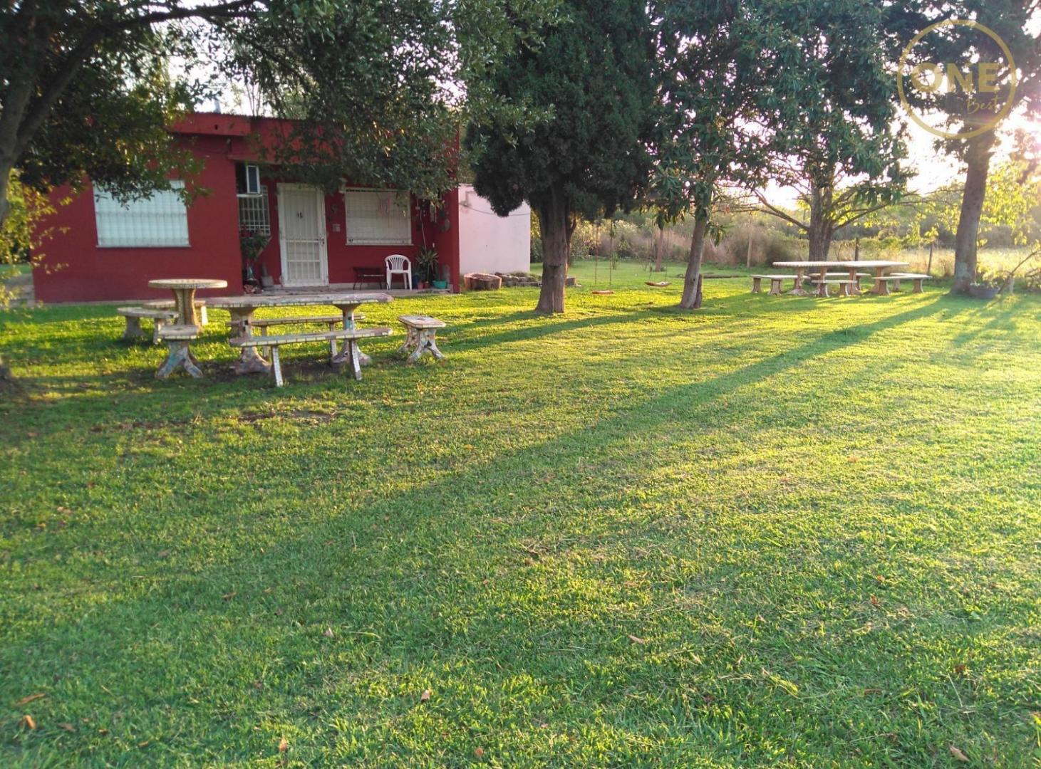 Foto de Campo de 2,2 ha en Arturo Seguí, calle 152 y 420, imagen 5
