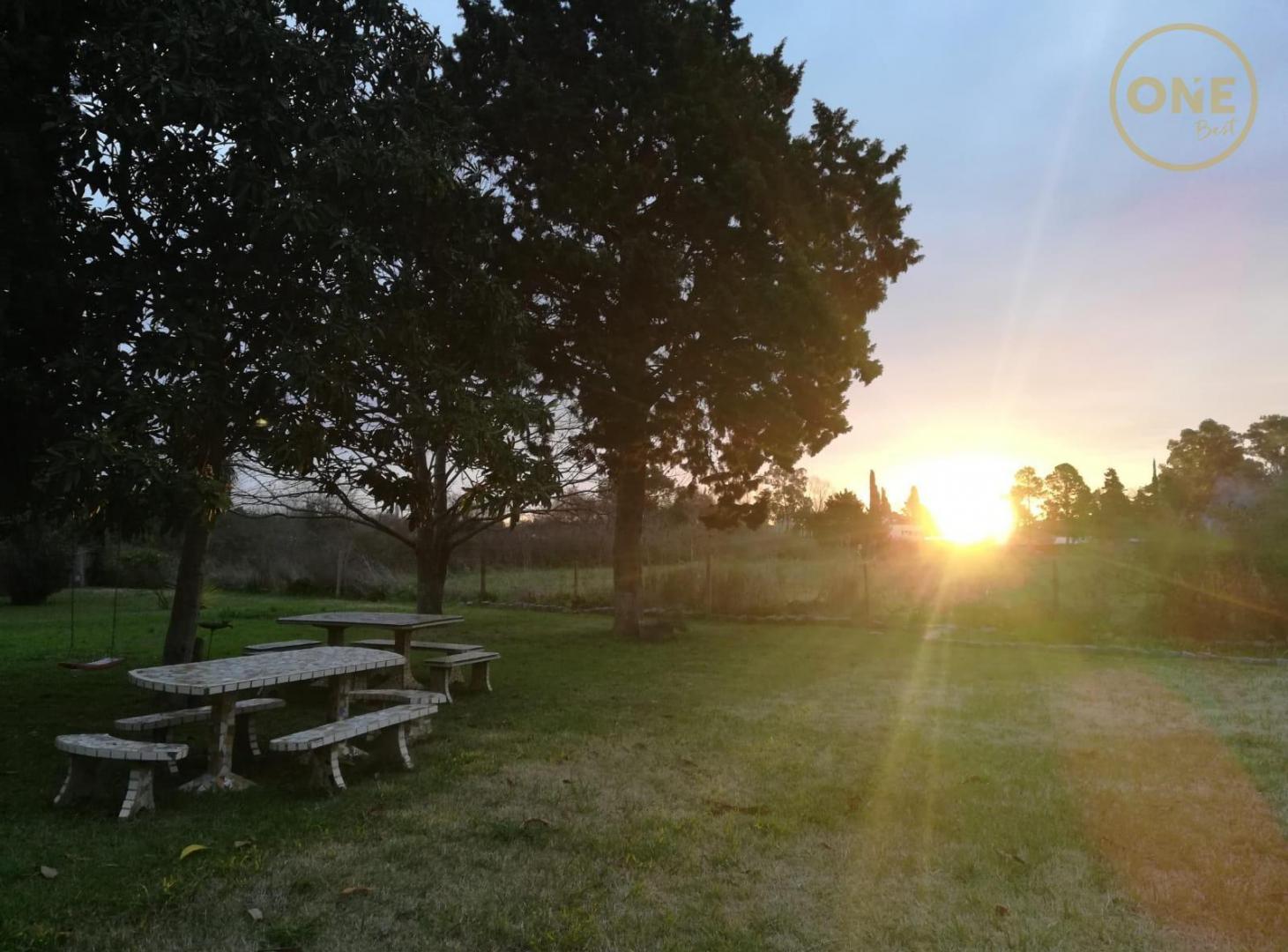 Foto de Campo de 2,2 ha en Arturo Seguí, calle 152 y 420, imagen 4