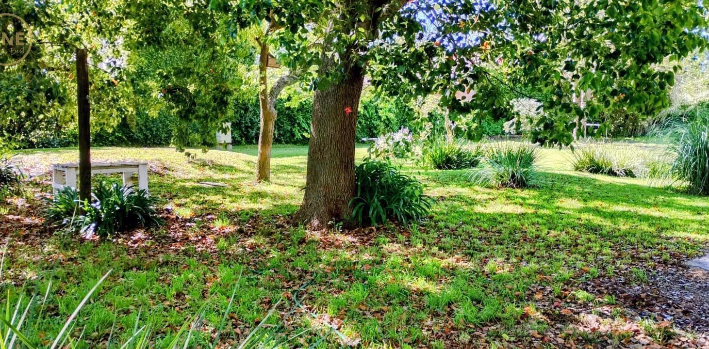 Foto de Casa con lote de 3100 m2, ideal para desarrollador, imagen 1