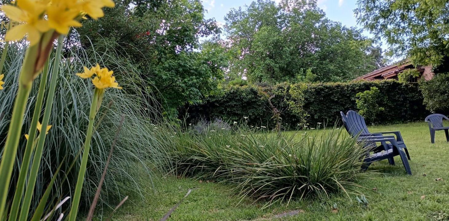 Foto de Lote de 3.100 m2, ideal desarrollador, imagen 3