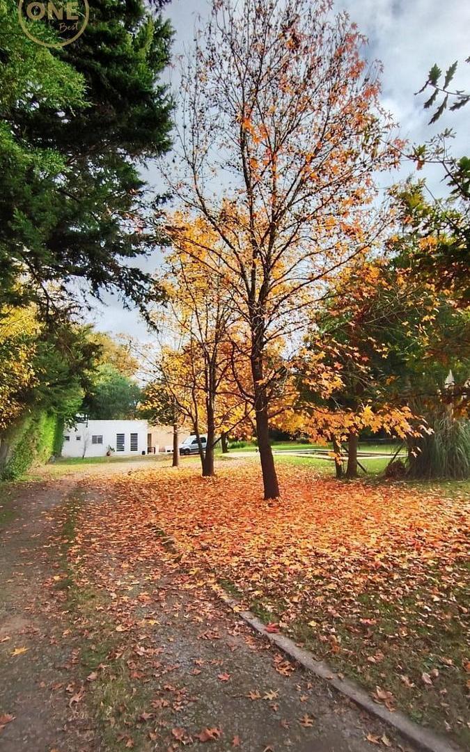 Foto de Lote de 3.100 m2, ideal desarrollador, imagen 4