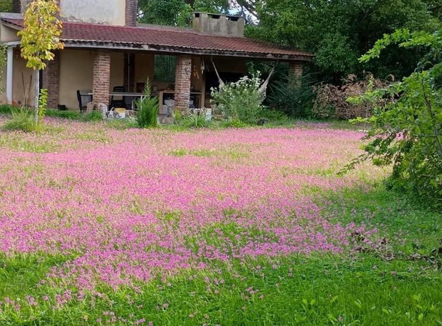 Foto de Casa y super lote en Manzanares, imagen 3