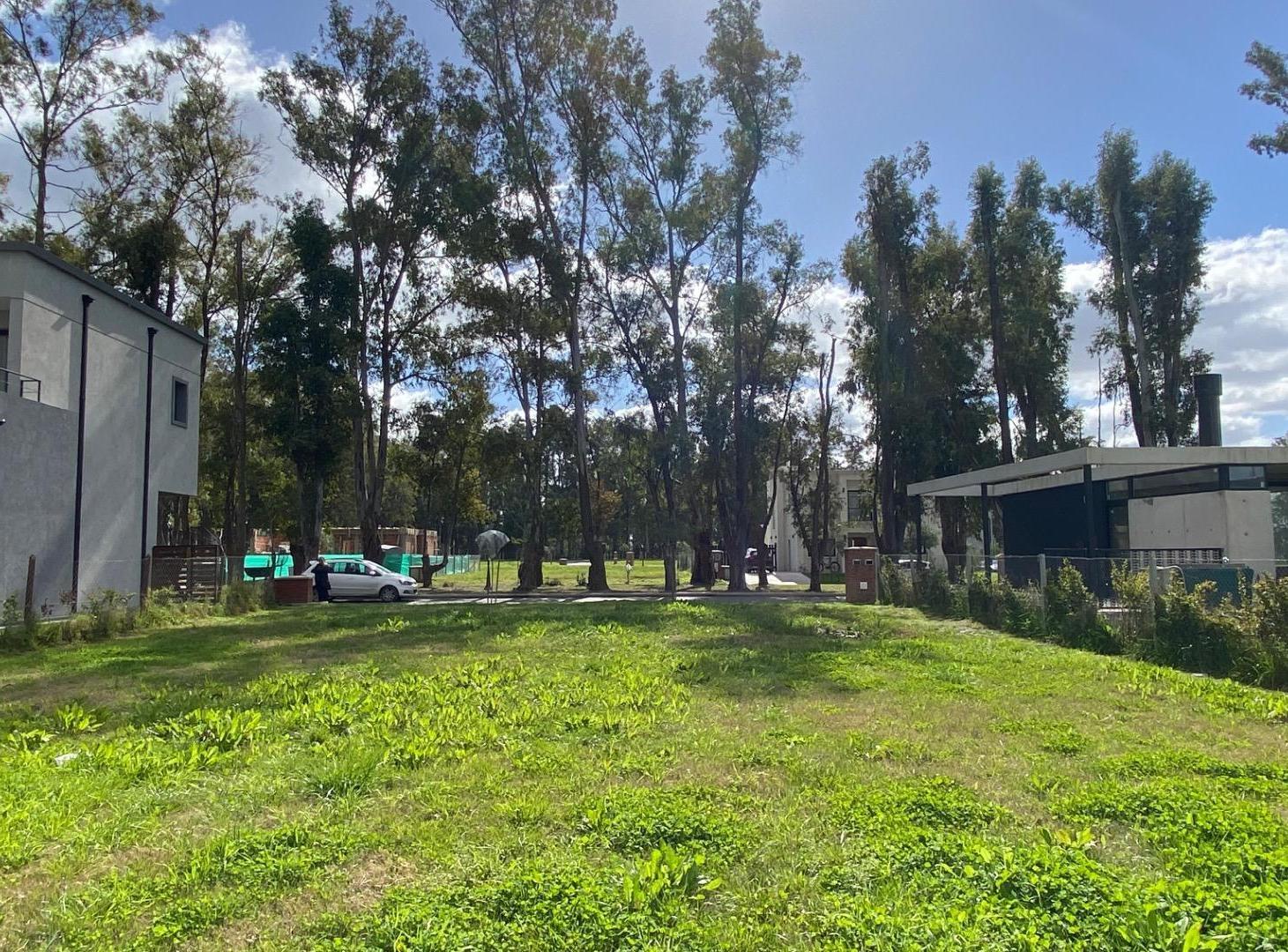 Foto de Lote central Santa Sofia, imagen 2