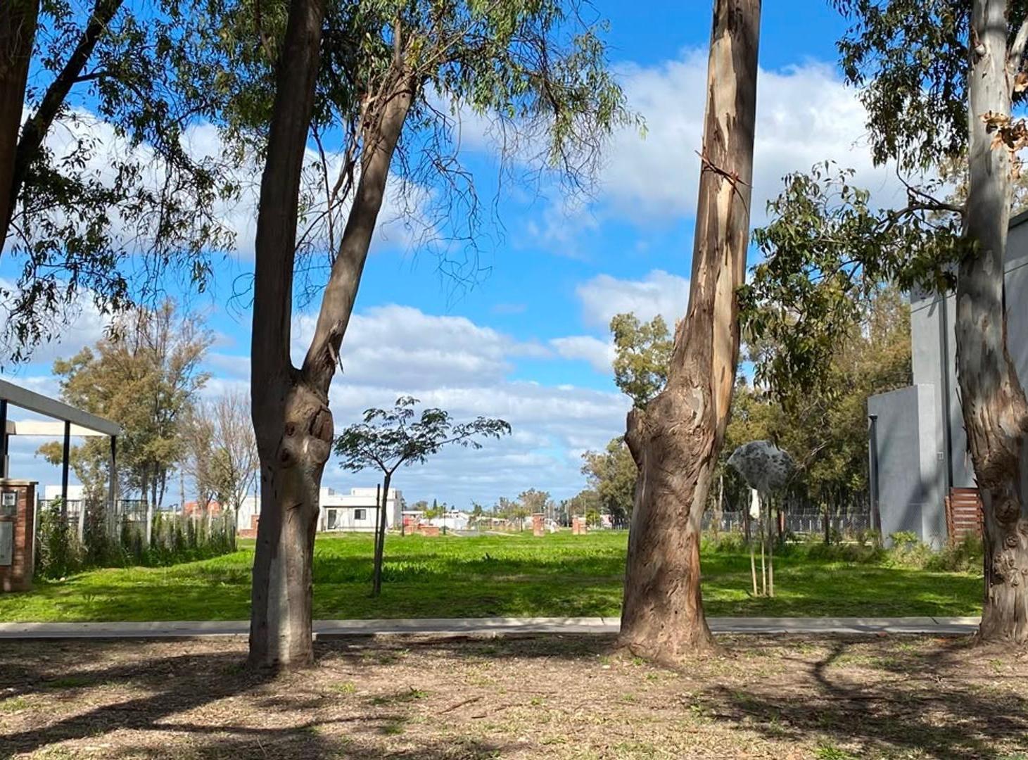 Foto de Lote central Santa Sofia, imagen 4