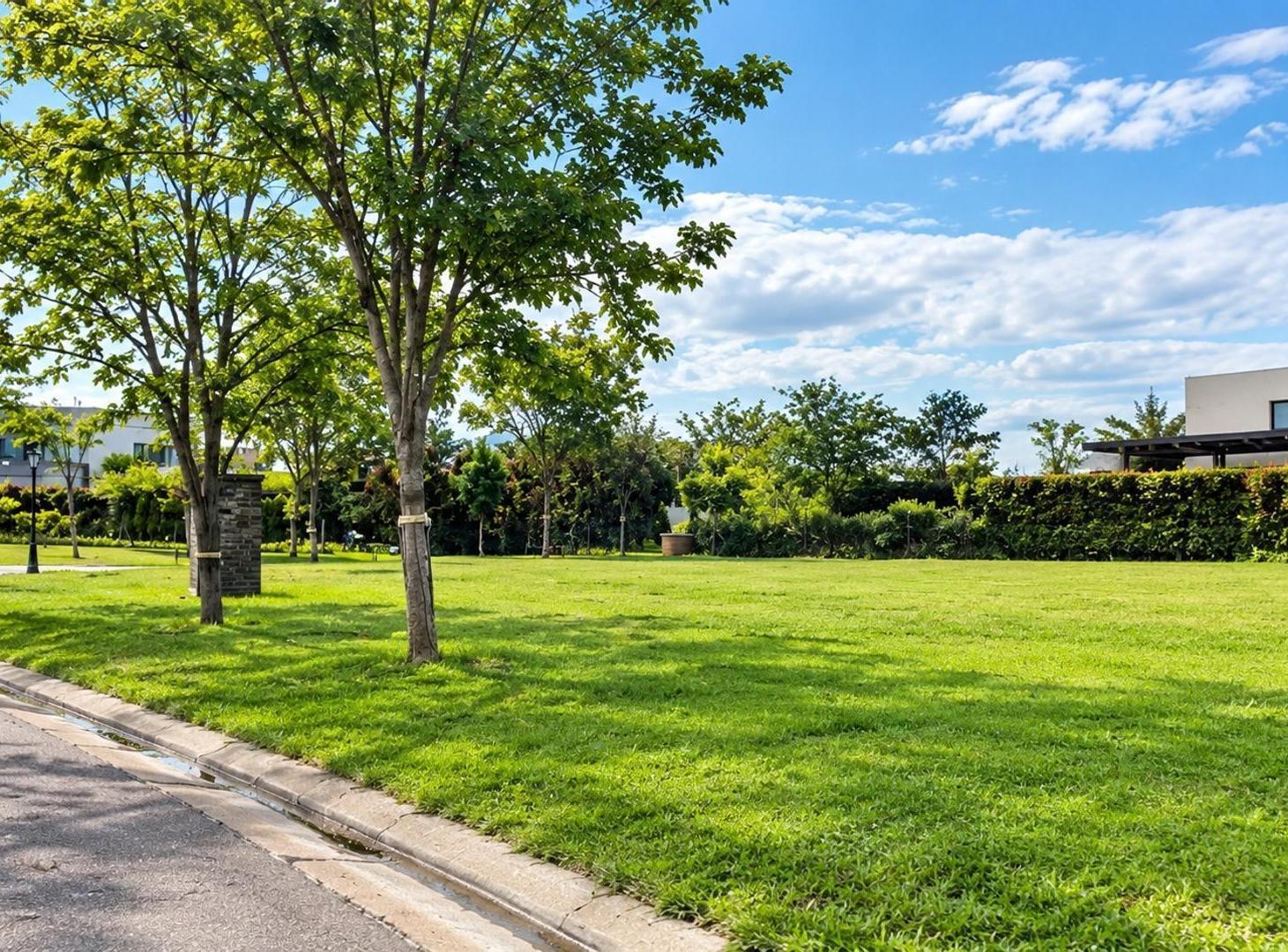 Foto de VENTA LOTE INTERNO SAN RAMON, PILAR DEL ESTE, imagen 1