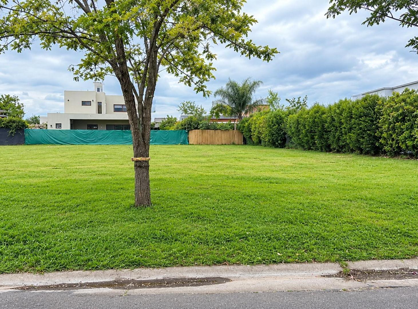 Foto de VENTA LOTE INTERNO SAN RAMON, PILAR DEL ESTE, imagen 3