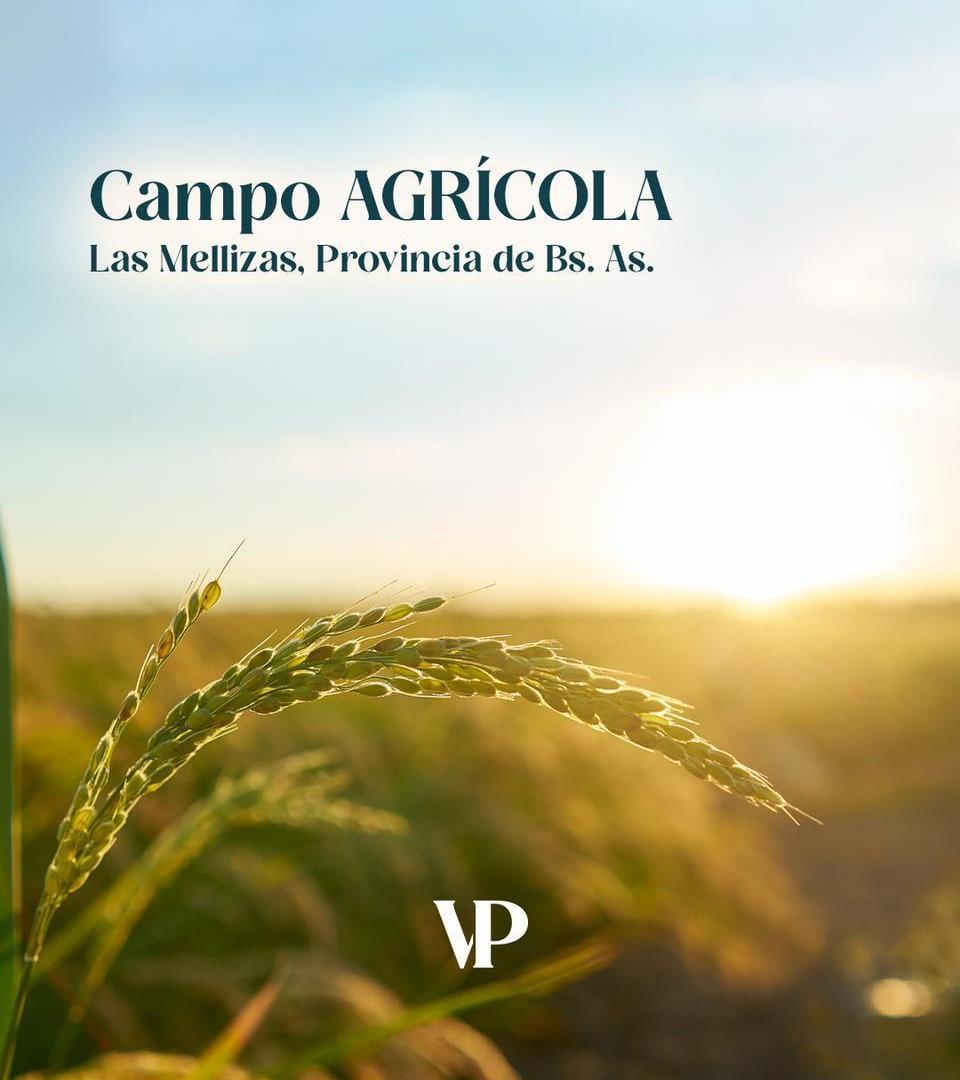 Foto de Campo Agrícola en Las Mellizas, imagen 1