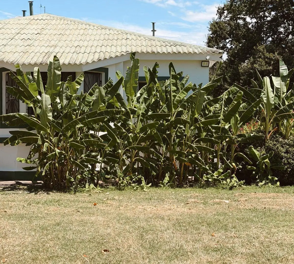CASA DE CAMPO EN ROJO A 15 MINUTOS DE EXPOAGRO 3
