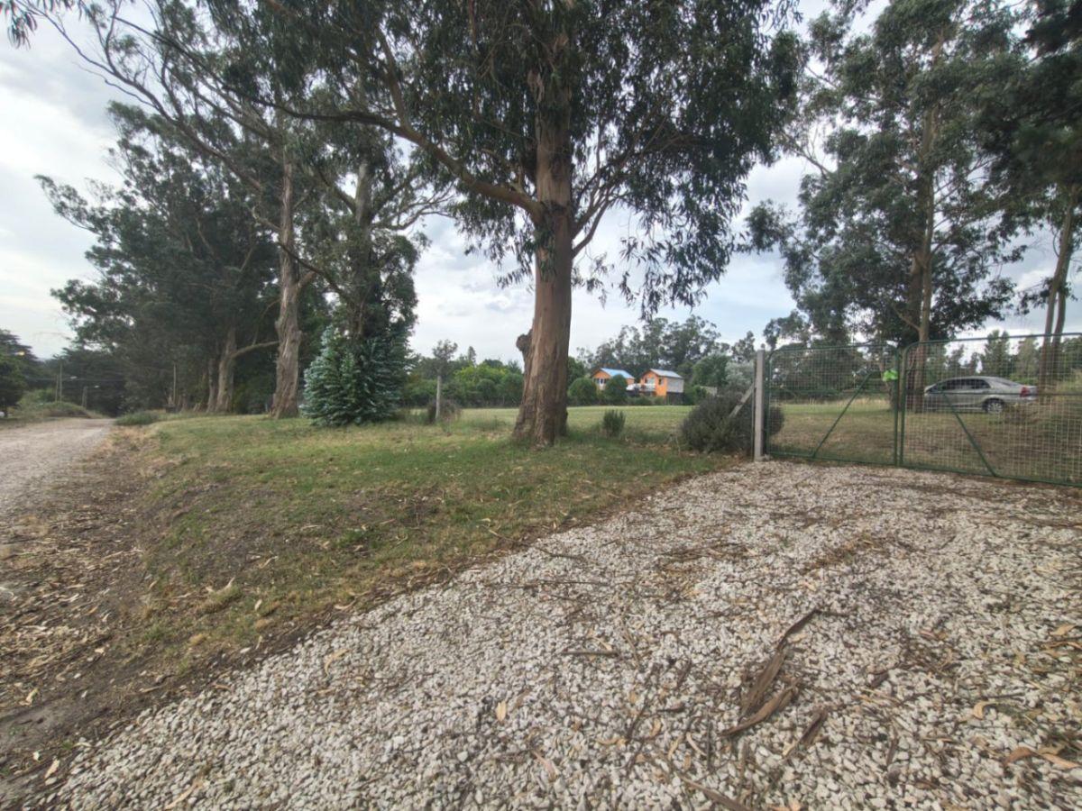 Foto de Dos terrenos en venta de 2400 m2 totales, ubicado en zona Sierra de los, imagen 2