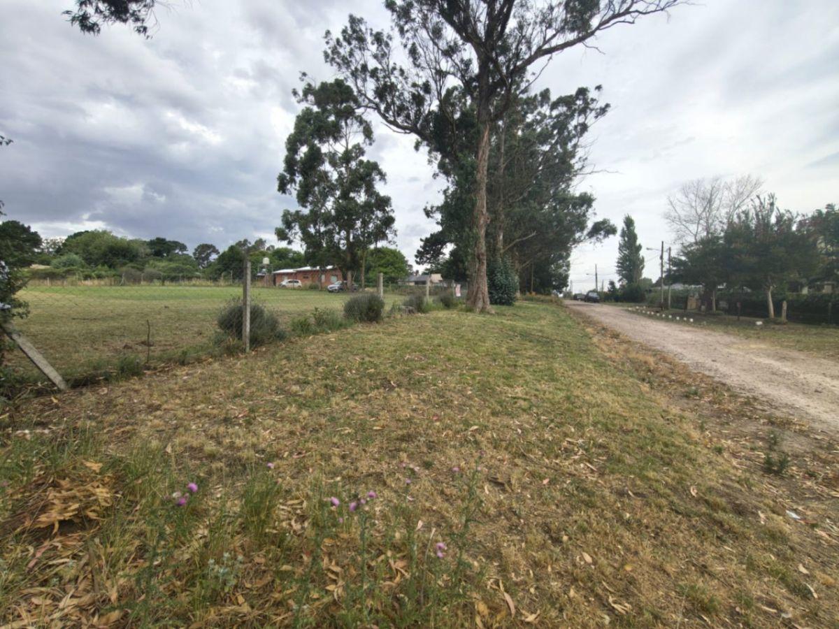 Foto de Dos terrenos en venta de 2400 m2 totales, ubicado en zona Sierra de los, imagen 5