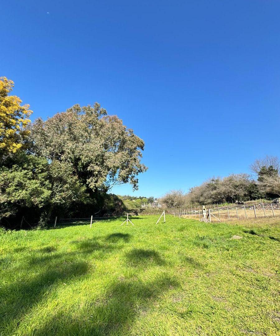 Foto de Terreno / Lote en venta de 800m2 ubicado en Sierra de los Padres, imagen 3