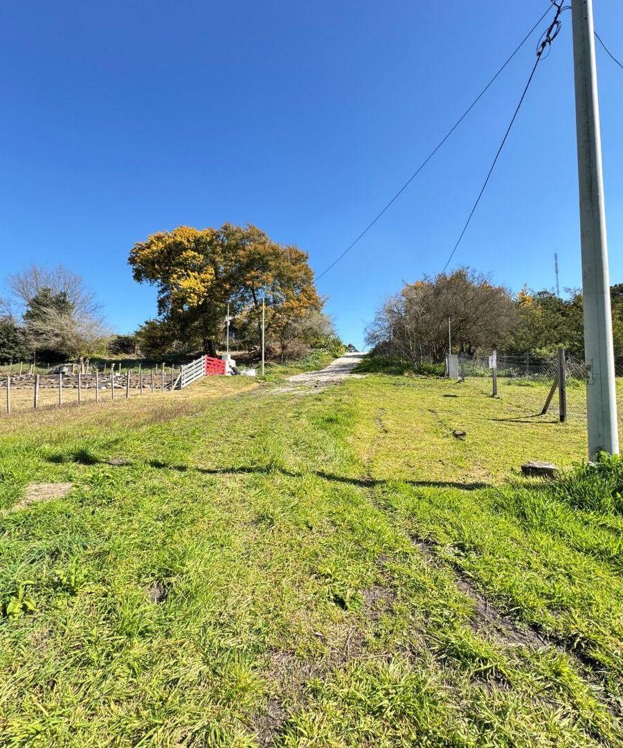 Foto de Terreno / Lote en venta de 800m2 ubicado en Sierra de los Padres, imagen 4