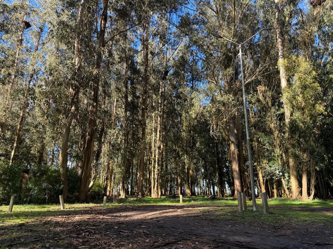 Foto de Terreno en Balneario Mar Chiquita, imagen 4