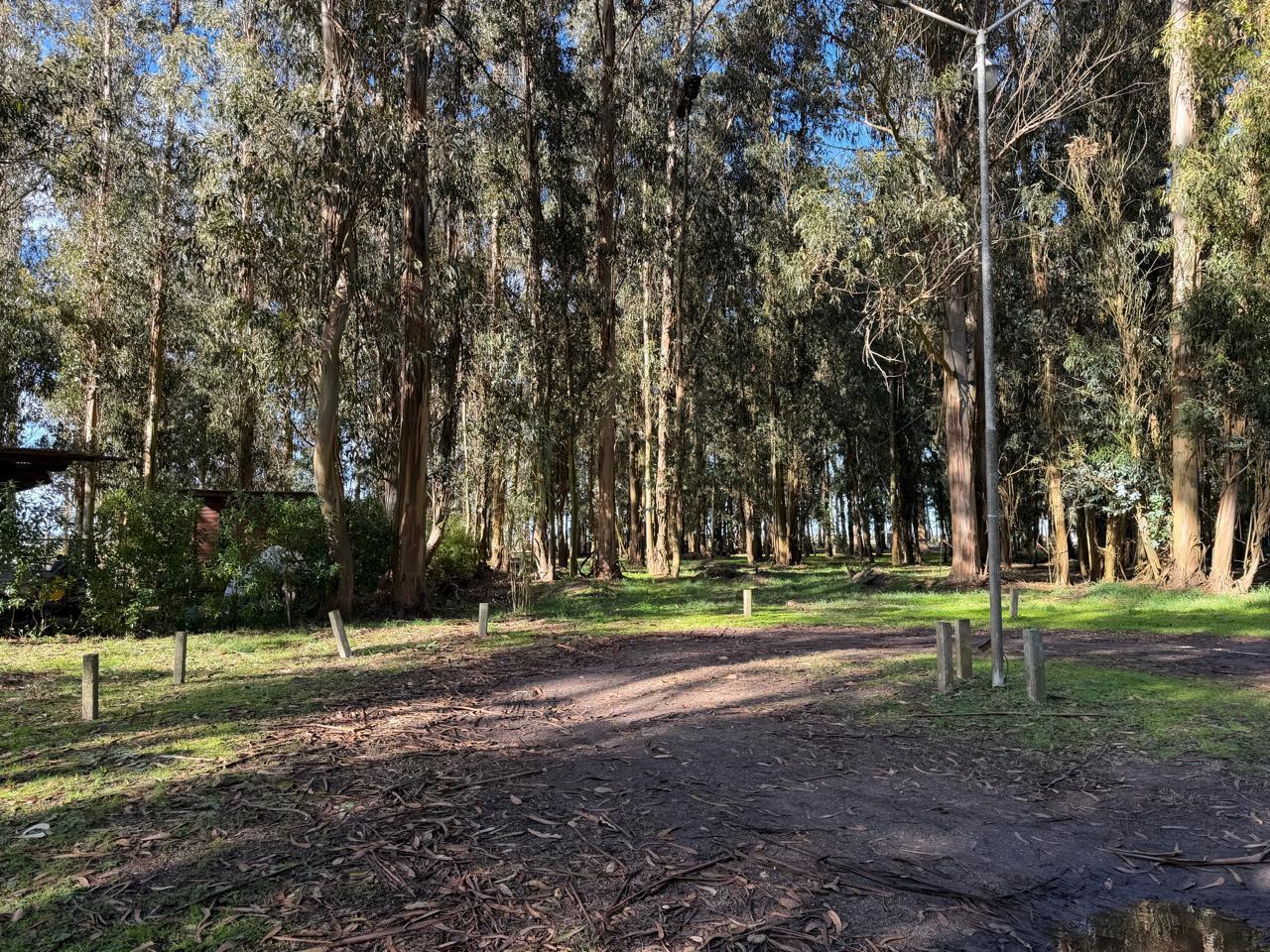 Foto de Terreno en Balneario Mar Chiquita, imagen 5