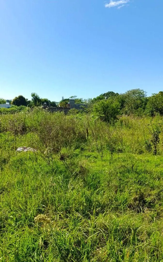 Se vende terreno 5