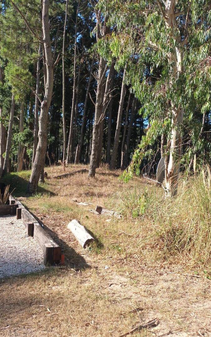 Terreno de 1000 m2 en venta en Deportivo I