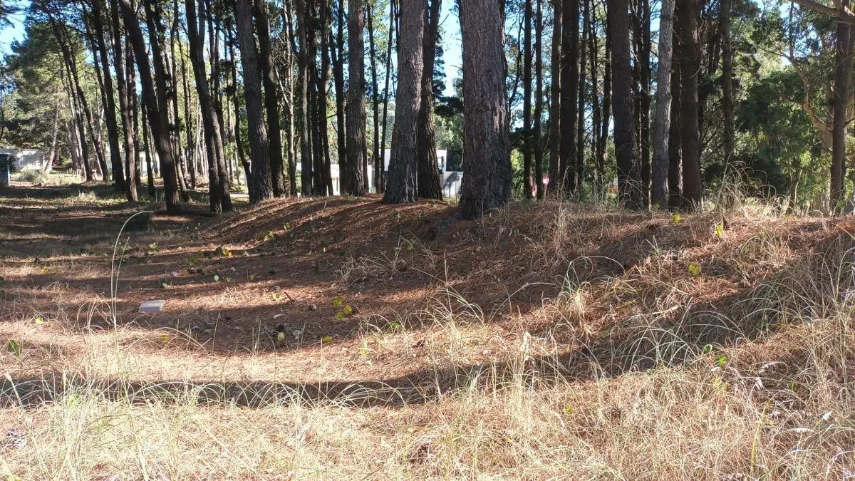 Terreno de 1000 m2 en venta en Deportivo I 2