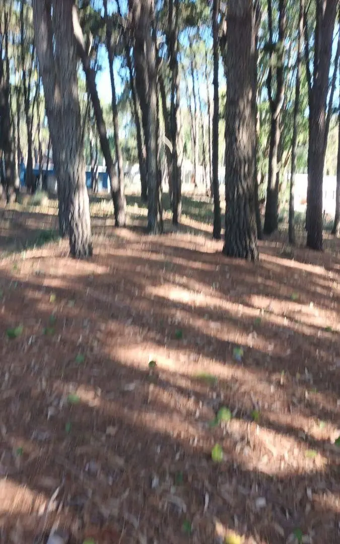 Terreno de 1000 m2 en venta en Deportivo I 5