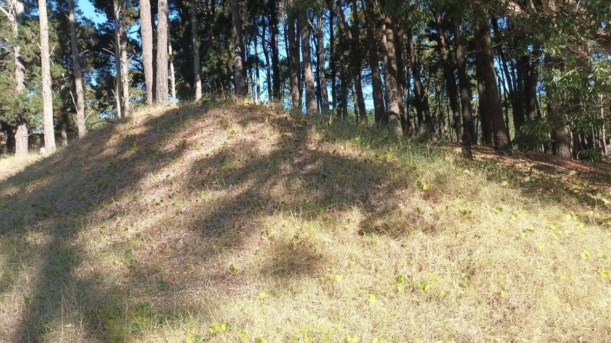 Terreno de 1000 m2 en venta en Deportivo I 3