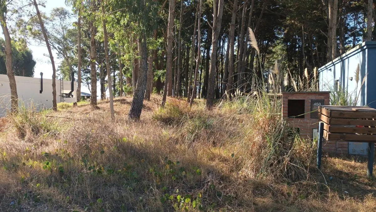 Terreno de 1000 m2 en venta en Deportivo I 4