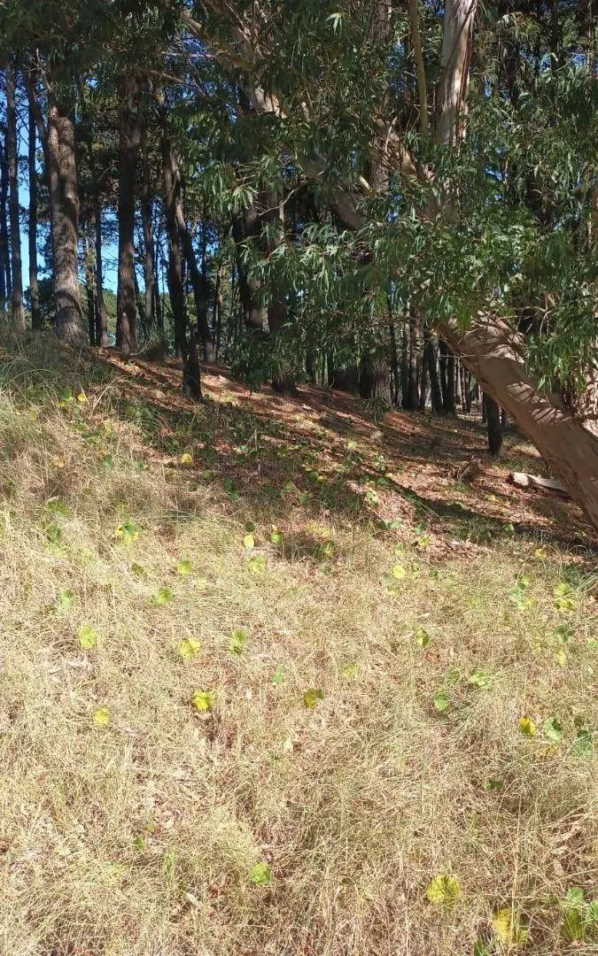 Terreno de 1000 m2 en venta en Deportivo I 2