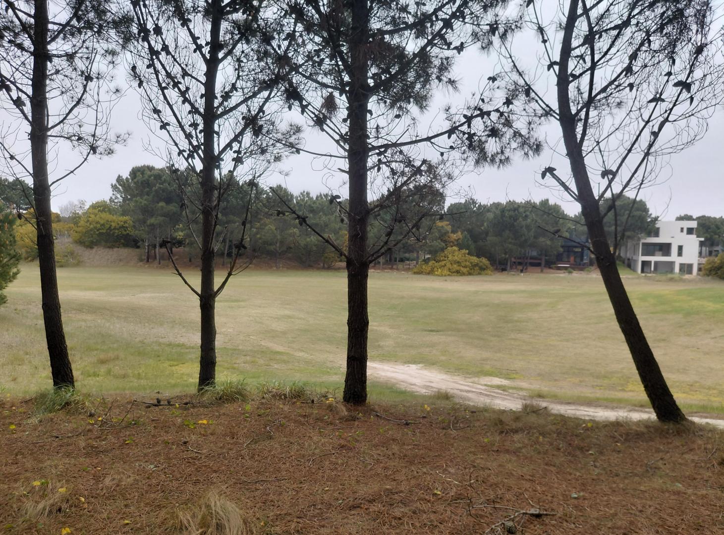 Foto de GOLF COSTA ESMERALDA, imagen 5