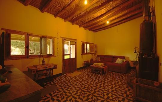 Finca en Venta 4 Ha Cuadro Benegas 2 Propiedades San Rafael Mendoza 4