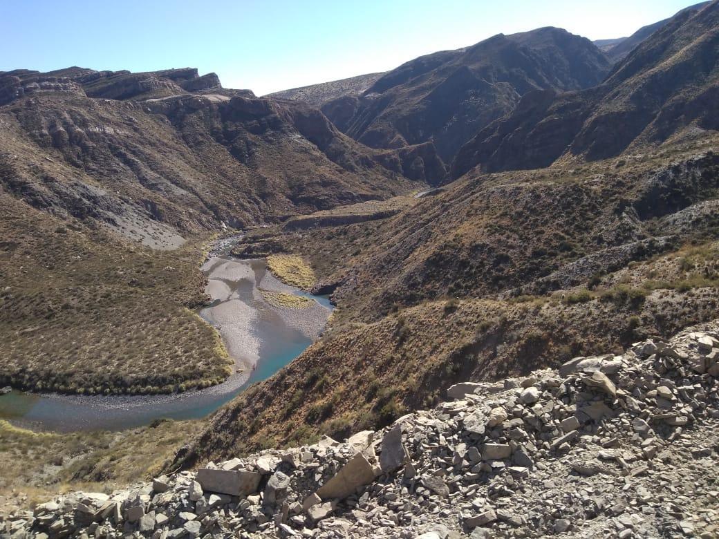 Campo 3