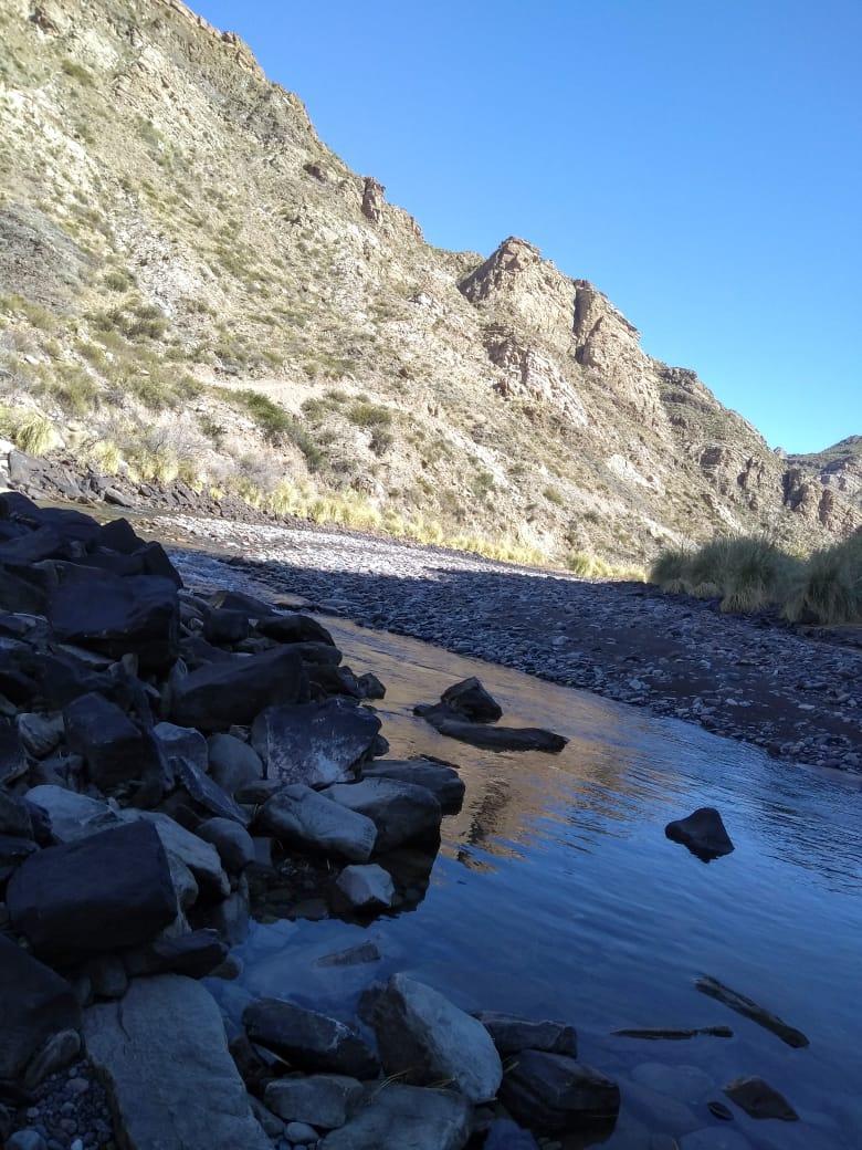 Campo 1
