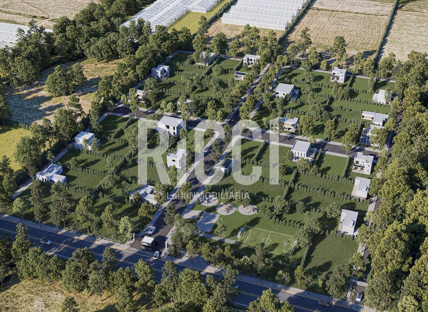 Foto de LOTE EN VENTA EN EL PATO BARRIO FINCAS SAN PEDRO II, imagen 4