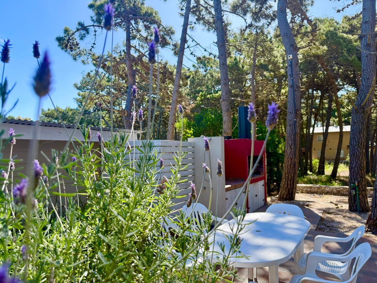 Casa 2 dormitorios. | 1 C 45