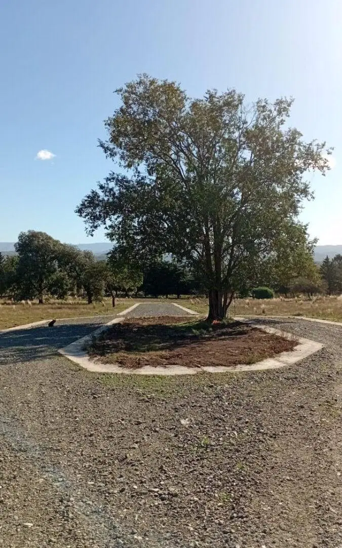 LOTES EN LAS JARILLAS (FRENTE C PAZ GOLF) 5