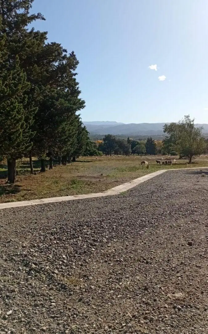 LOTES EN LAS JARILLAS (FRENTE C PAZ GOLF) 3