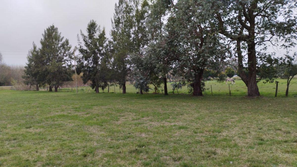 Foto de Venta de Lote en Arana - La Plata, imagen 5