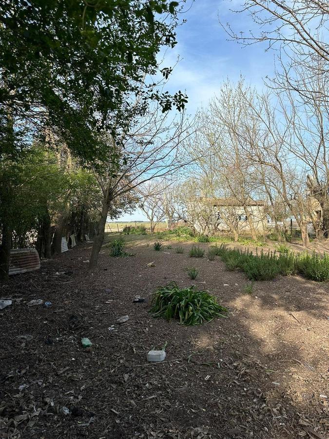 Foto de Terreno en Gdor Udaondo Pdo.de Cañuelas, imagen 5