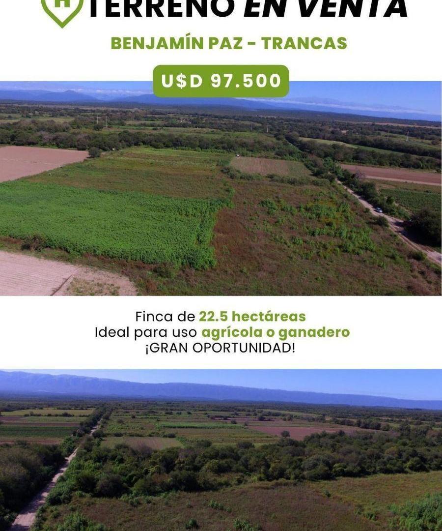 Foto de Terreno - Benjamin Paz, imagen 2