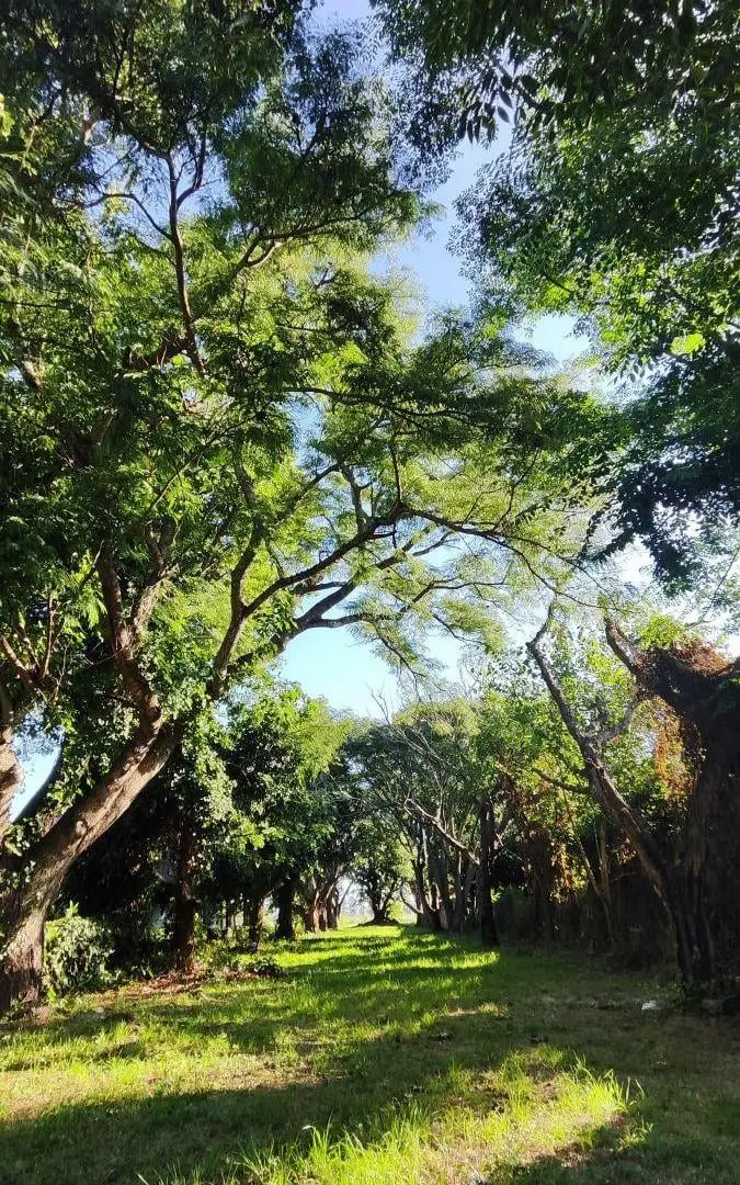 SE VENDE AMPLIO TERRENO EN ARROYO AGUIAR 1