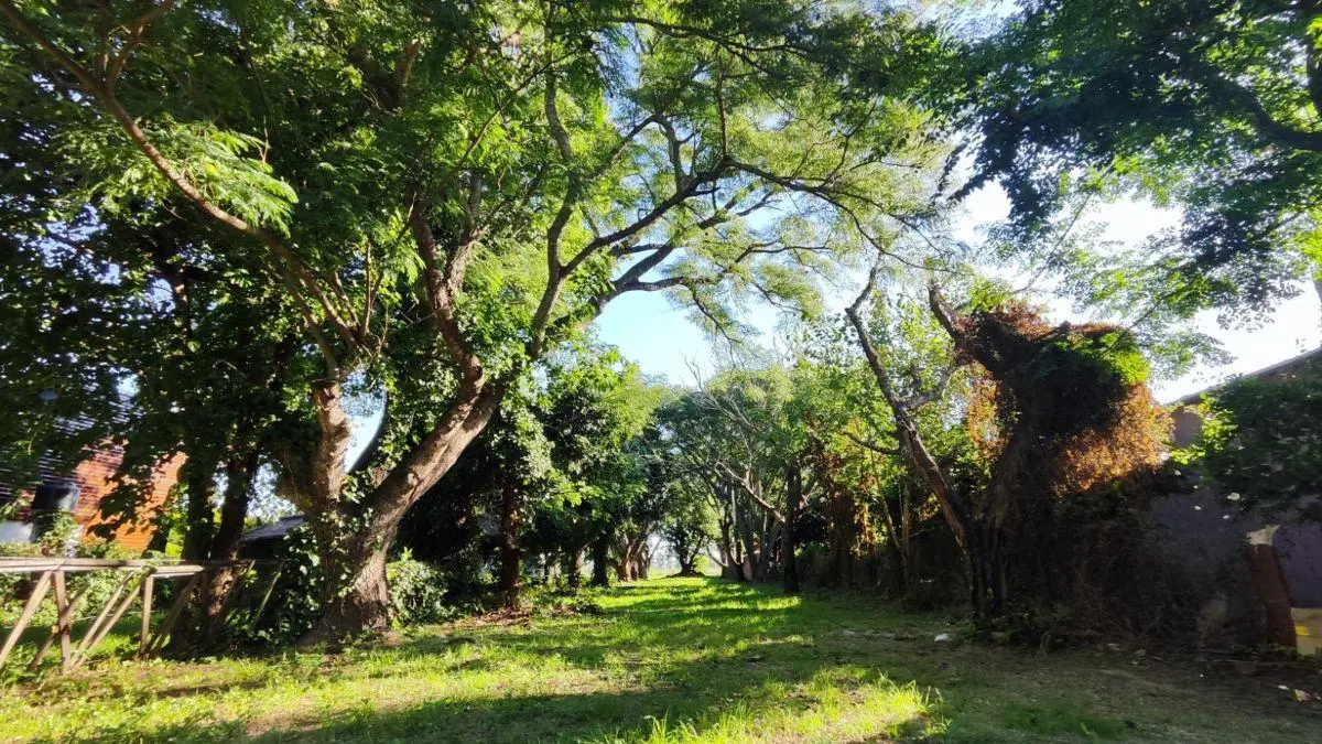 SE VENDE AMPLIO TERRENO EN ARROYO AGUIAR 5